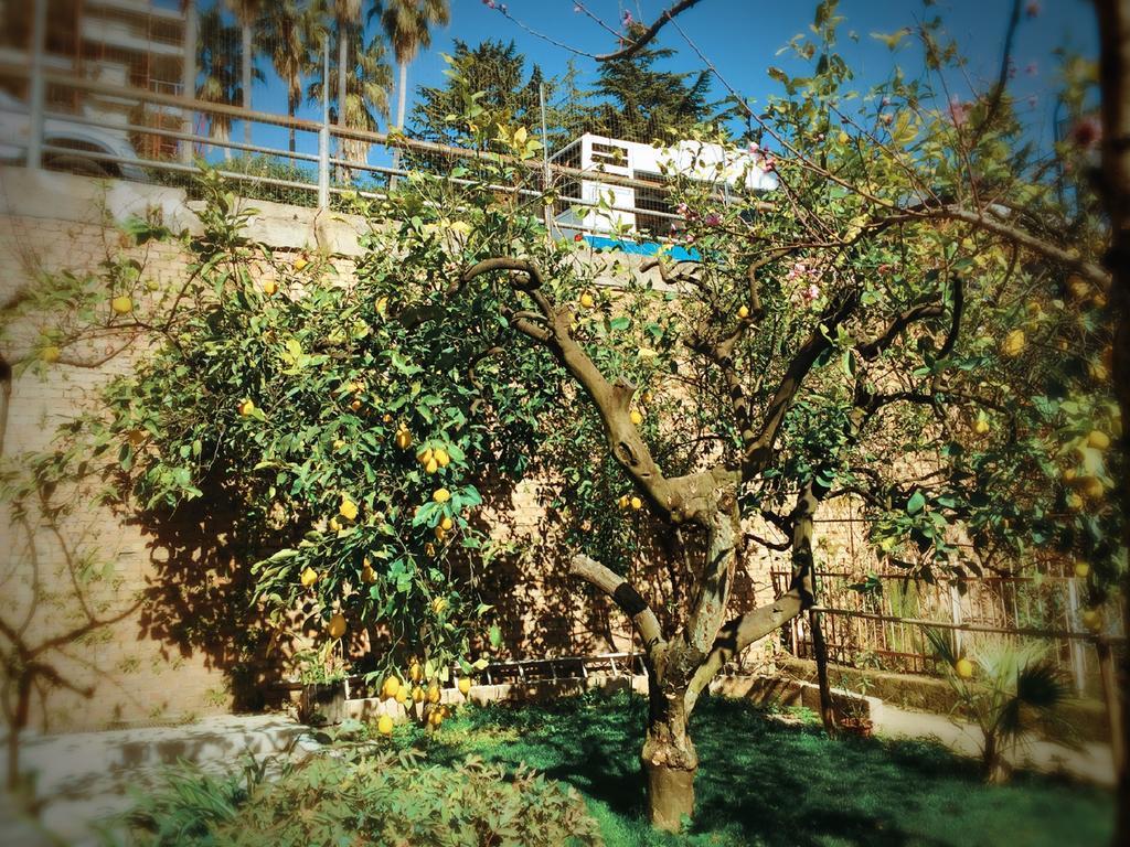 ホテル Aloha House フォルミア エクステリア 写真